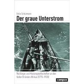 Der graue Unterstrom - Felix Schürmann