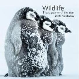 Wildlife Photographer of the Year: 2016 Highlights - Rosamund Kidman Cox