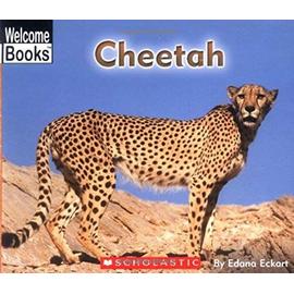 Cheetah - Edana Eckart