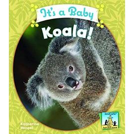 It's a Baby Koala! - Katherine Hengel