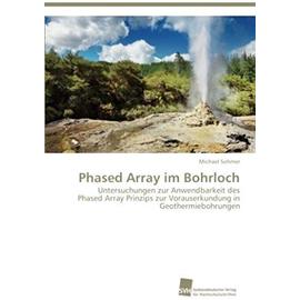Phased Array im Bohrloch - Michael Sohmer