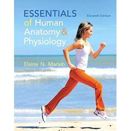 Essentials of Human Anatomy & Physiology - Elaine Nicpon Marieb