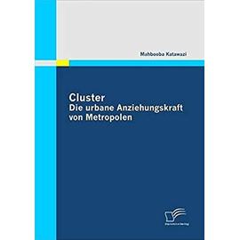 Cluster: Die urbane Anziehungskraft von Metropolen - Mahbooba Katawazi
