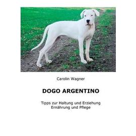 Dogo Argentino - Carolin Wagner