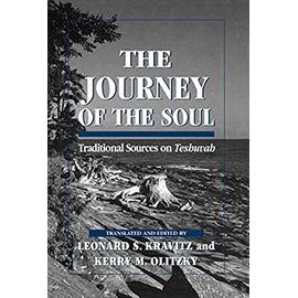 The Journey of the Soul - Leonard S. Kravitz