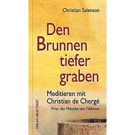 Den Brunnen tiefer graben - Christian Salenson