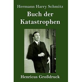 Buch der Katastrophen (Großdruck) - Hermann Harry Schmitz