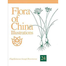 Flora of China Illustrations, Volume 24 - Flagellariaceae through Marantaceae - Collectif