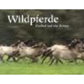 Wildpferde - Bernd Lamm
