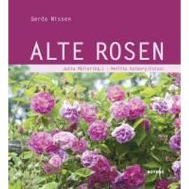 Alte Rosen - Gerda Nissen