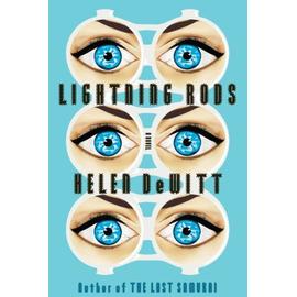 Lightning Rods - Helen Dewitt