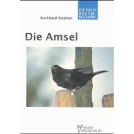Die Amsel - Burkhard Stephan
