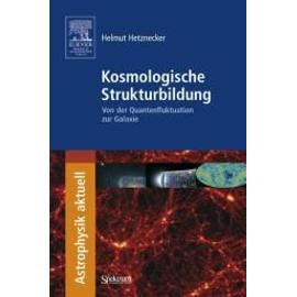 Kosmologische Strukturbildung - Helmut Hetznecker