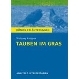 Tauben im Gras. Textanalyse und Interpretation - Wolfgang Koeppen