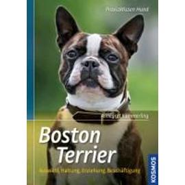 Boston Terrier - Annegret K?Mmerling