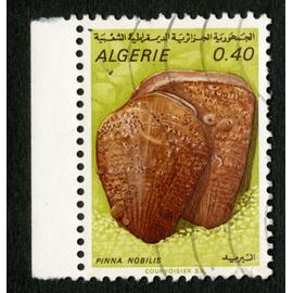 timbre oblitéré algérie, pinna nobilis, 0.40