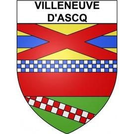 Villeneuve-d'Ascq 59 ville Stickers blason autocollant adhésif - Taille : 4 cm