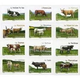 faune : les vaches de nos régions (races rares et peu connues) série complète année 2014 autoadhésifs n° 953 954 955 956 957 958 959 960 961 962 963 964 yvert et tellier