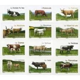 faune : les vaches de nos régions série complète année 2014 autoadhésifs n° 953 954 955 956 957 958 959 960 961 962 963 964 yvert et tellier