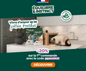Equilibre & Instinct