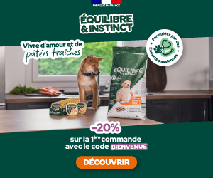 Equilibre & Instinct